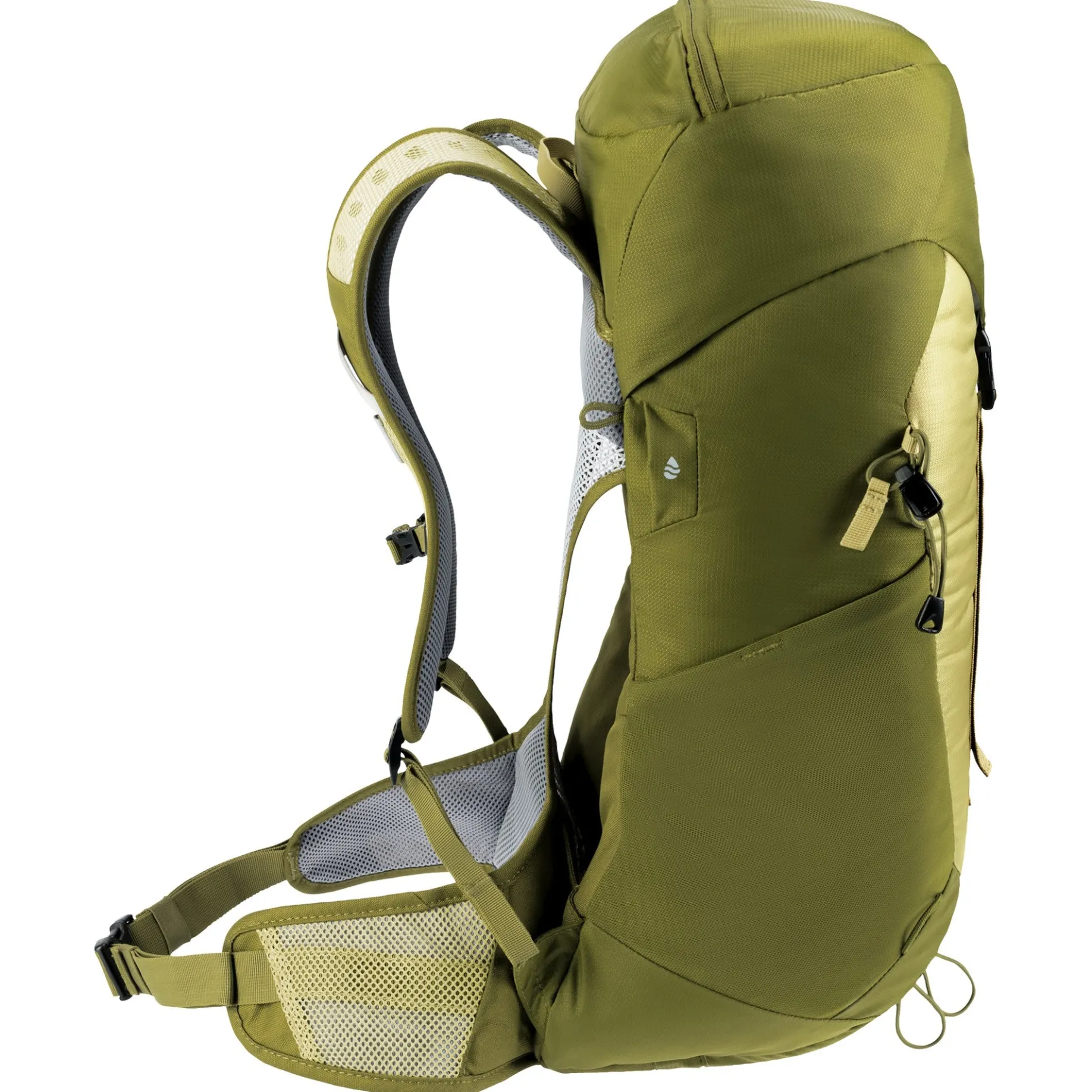AC Lite 24 - Wanderrucksack 57 cm (linden-cactus)