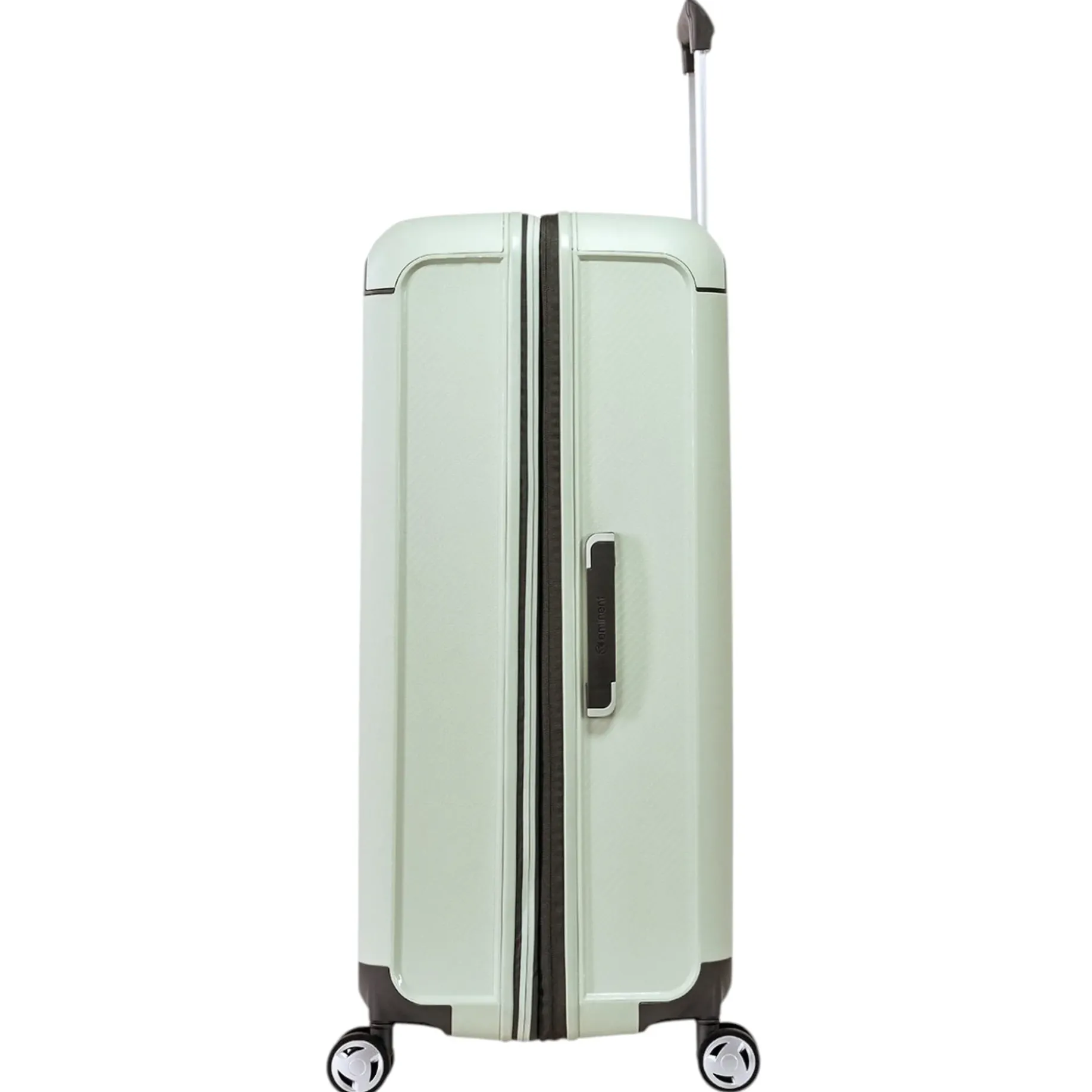 AEGIS - 4-Rollen-Trolley 78 cm erw. (mint green)