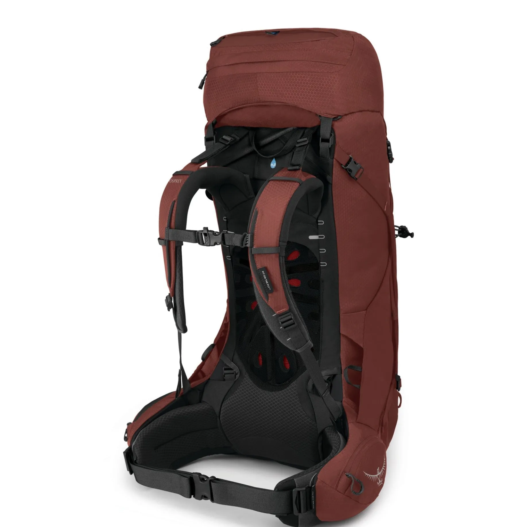Aether 55 L/XL - Trekkingrucksack 78 cm (acorn red)