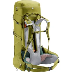 Aircontact Core 60+10 - Trekkingrucksack 82 cm (cactus-ivy)