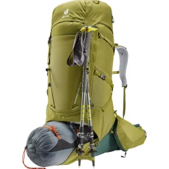 Aircontact Core 60+10 - Trekkingrucksack 82 cm (cactus-ivy)