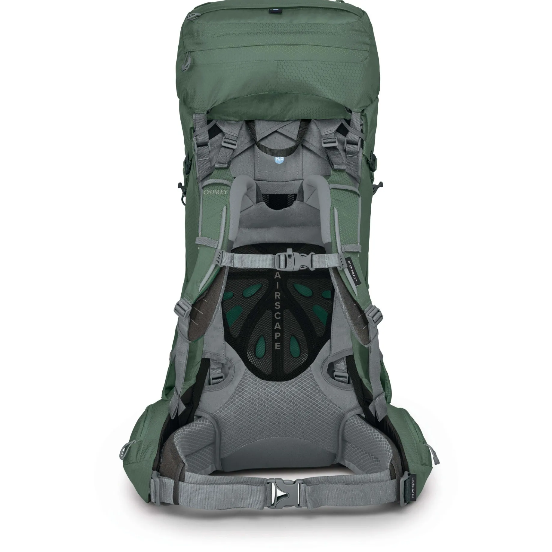 Ariel 55 Women - Trekkingrucksack 73 cm (koseret green)