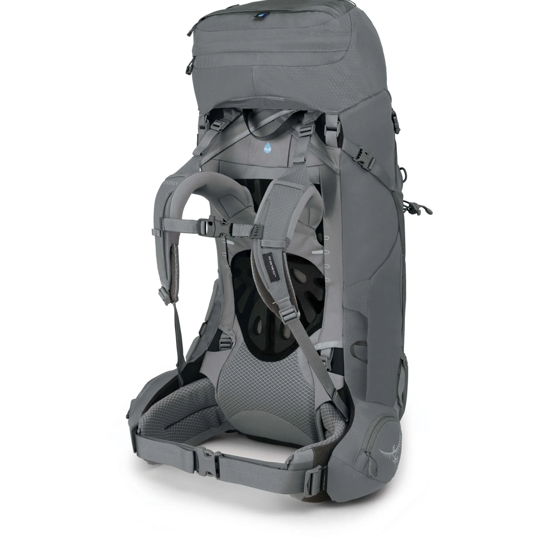 Ariel 55 Women - Trekkingrucksack 73 cm (medium graygras, 55 cm (M/L))