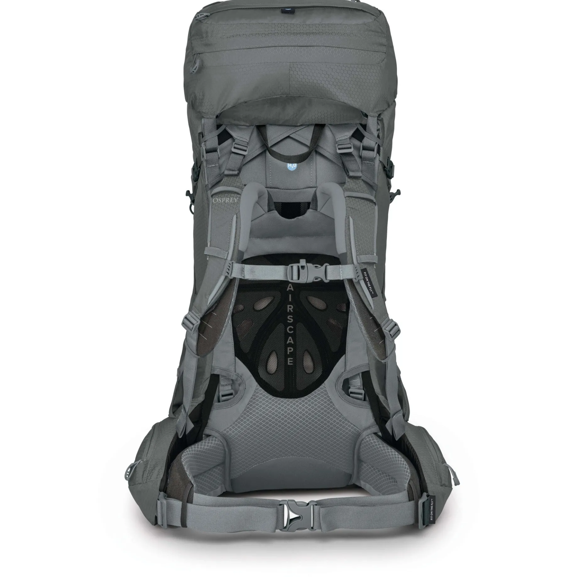 Ariel 55 Women - Trekkingrucksack 73 cm (medium graygras, 55 cm (M/L))