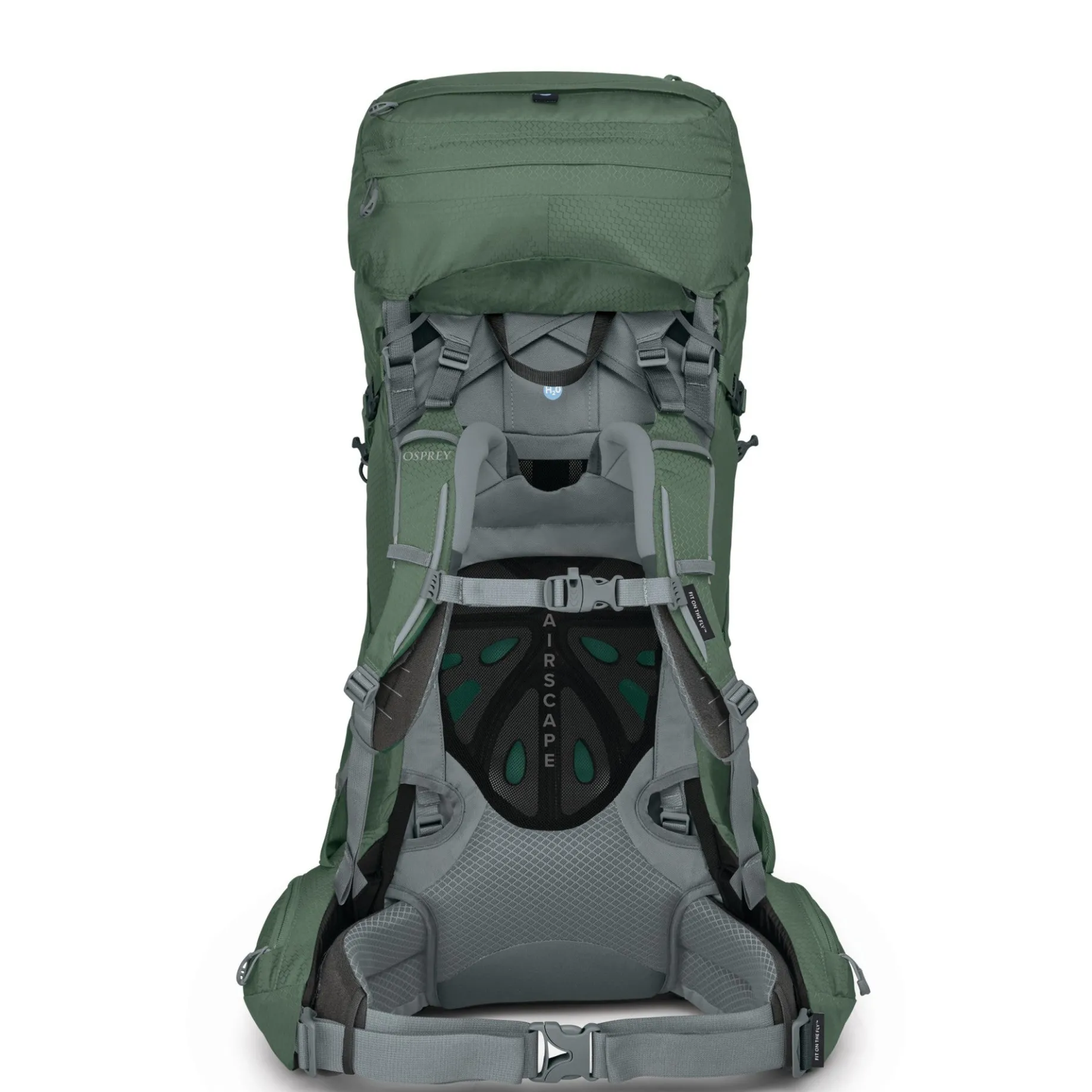 Ariel 65 Women M/L - Trekkingrucksack 75 cm (koseret green, 65 L (M/L))