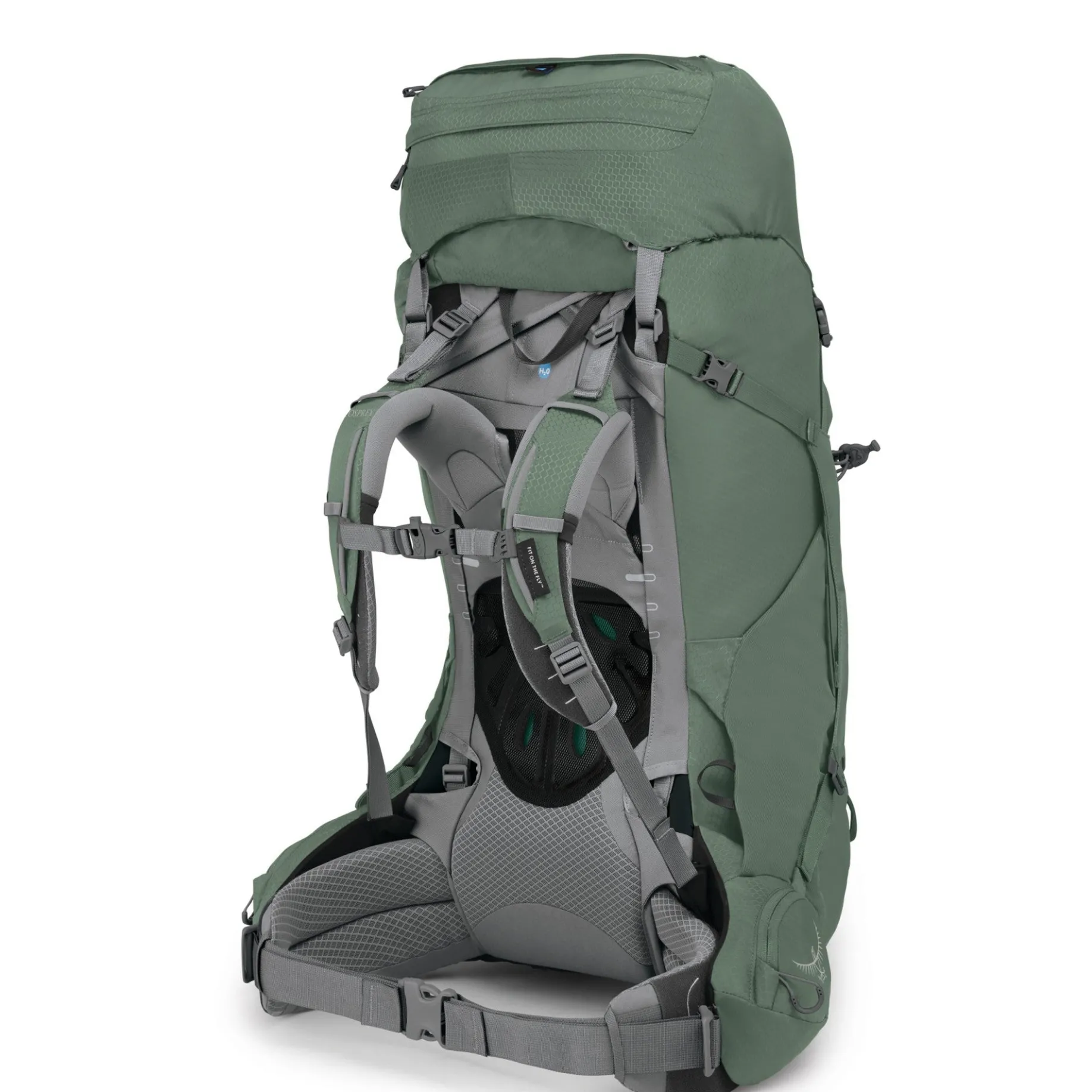 Ariel 65 Women XS/S - Trekkingrucksack 75 cm (koseret green)