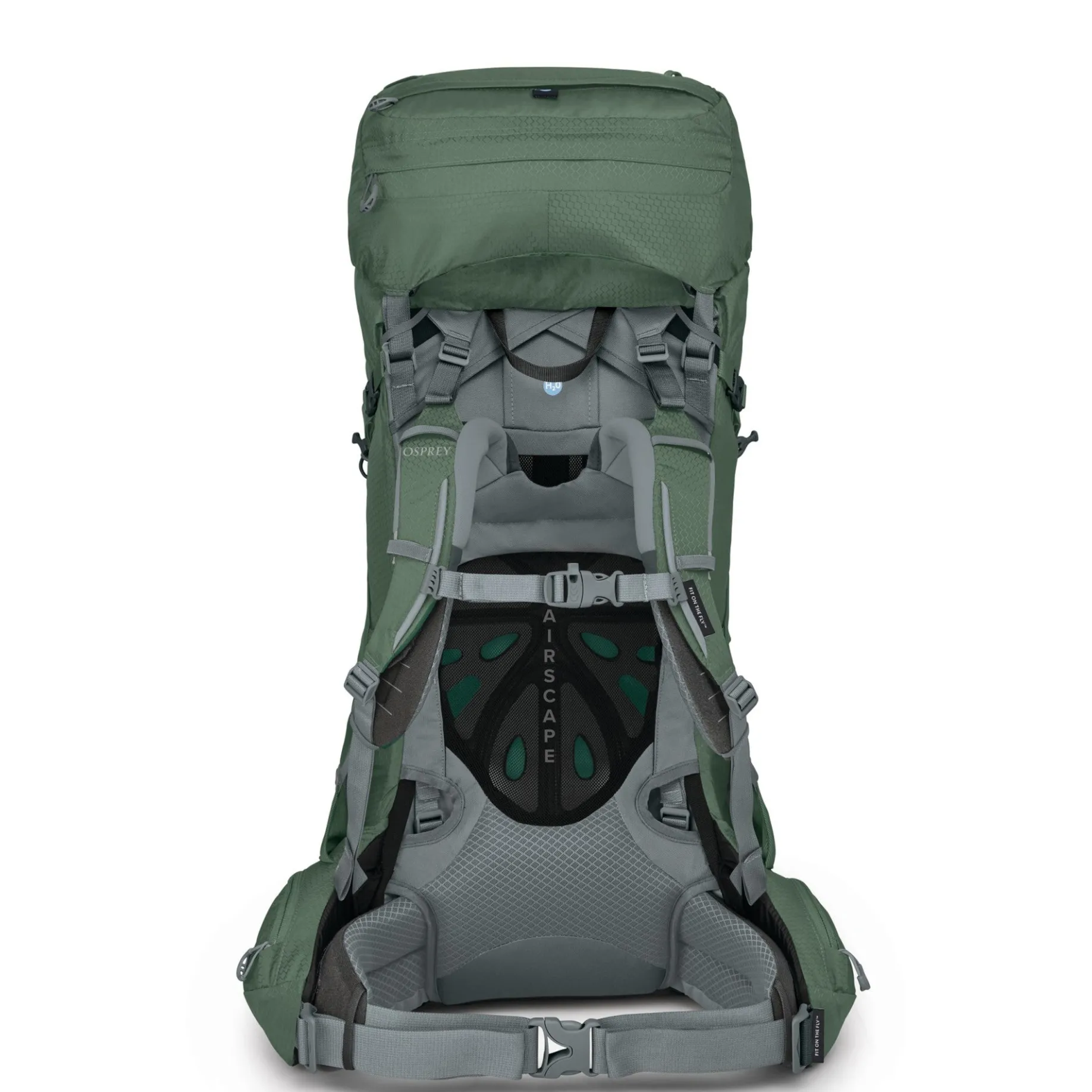 Ariel 65 Women XS/S - Trekkingrucksack 75 cm (koseret green)