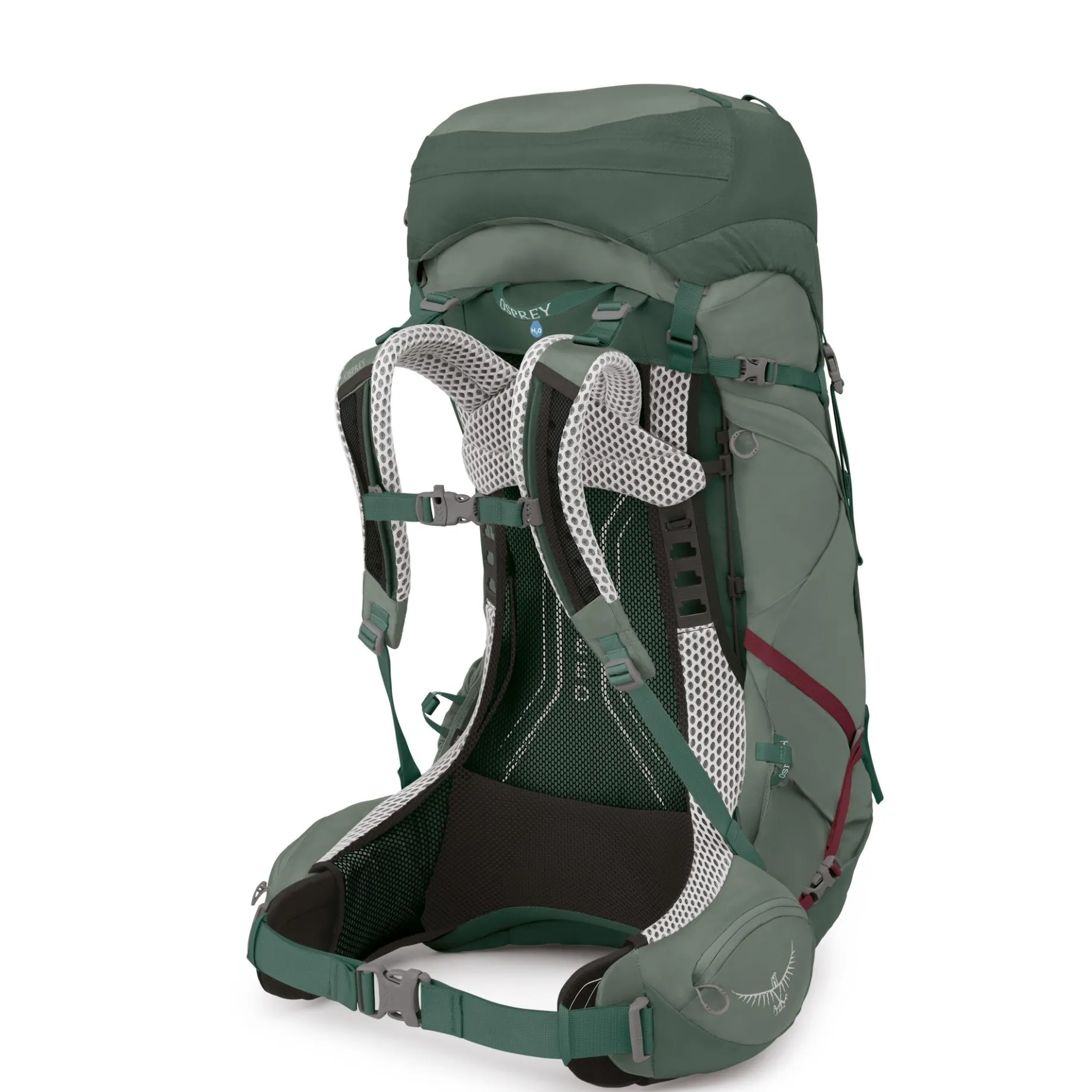 Aura AG LT 50 WM/L - Trekkingrucksack 80 cm (koseret/darjeeling spring green)