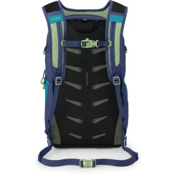 Daylite Plus - Rucksack 16" 47 cm (blue spikemoss/alkaline)