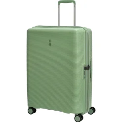Forza - 4 Rollen - Trolley 65 cm erw. (verde)