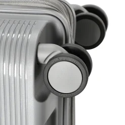 Forza - 4 Rollen - Trolley 65 cm erw. (grigio)