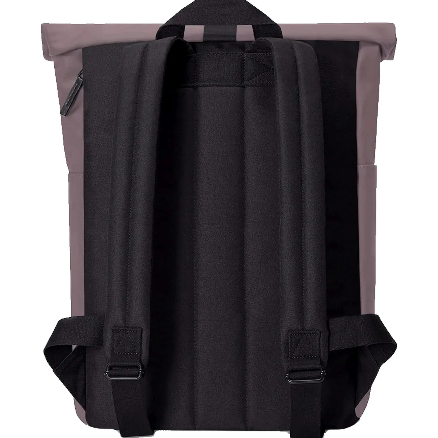 Hajo Mini Lotus Rolltop - Rucksack 16'' 42 cm (grape)