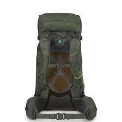 Kestrel 38 L/XL - Trekkingrucksack 79 cm (bonsai green)