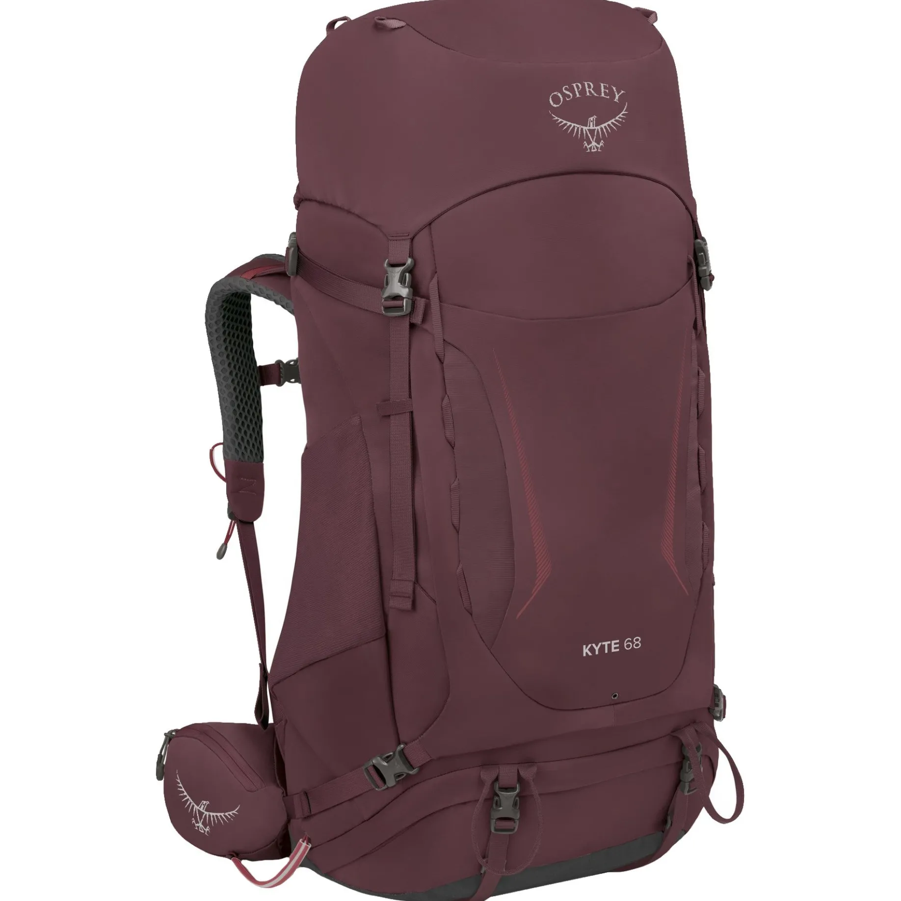 Kyte 68 WM/L - Trekkingrucksack 75 cm (elderberry purple)