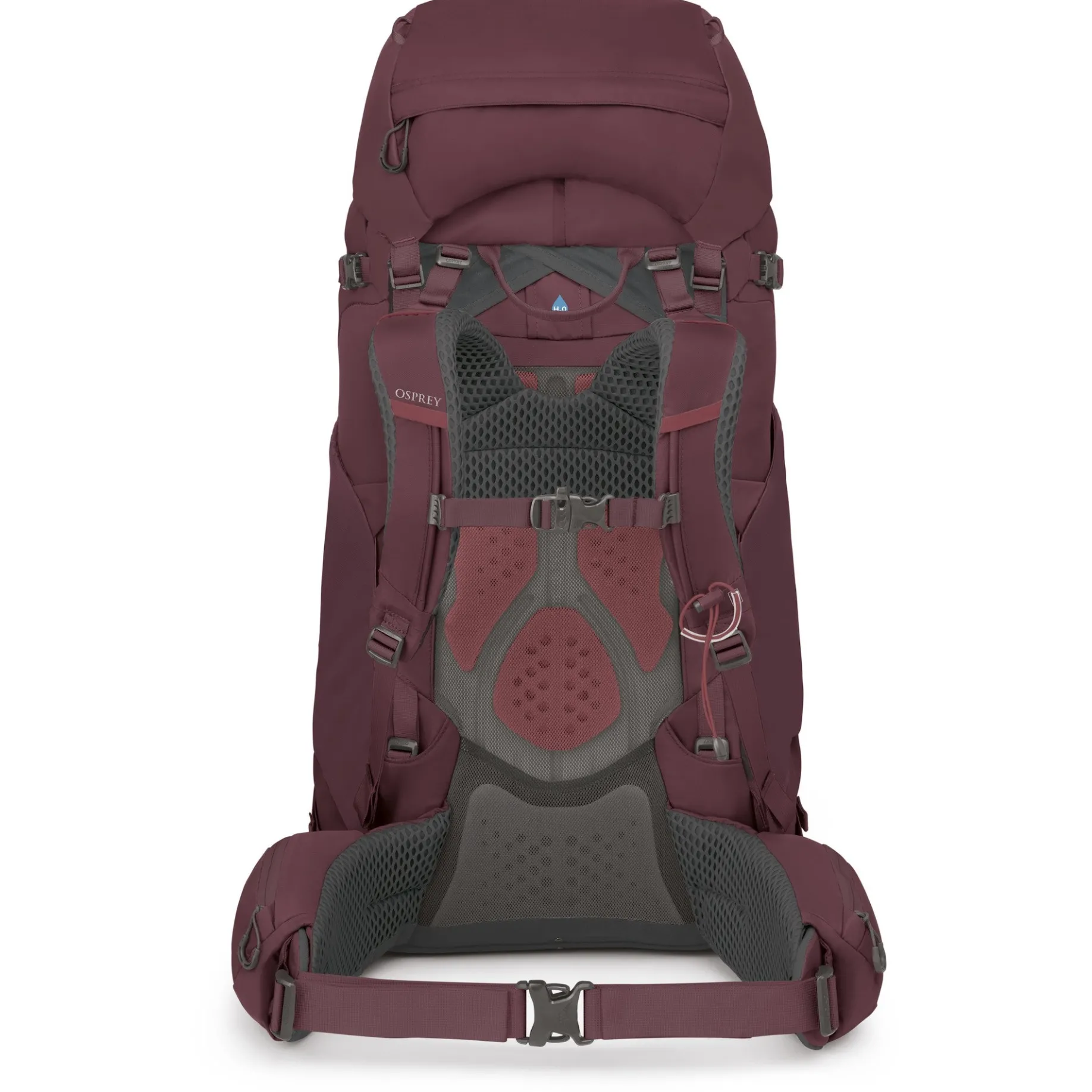 Kyte 68 WM/L - Trekkingrucksack 75 cm (elderberry purple)