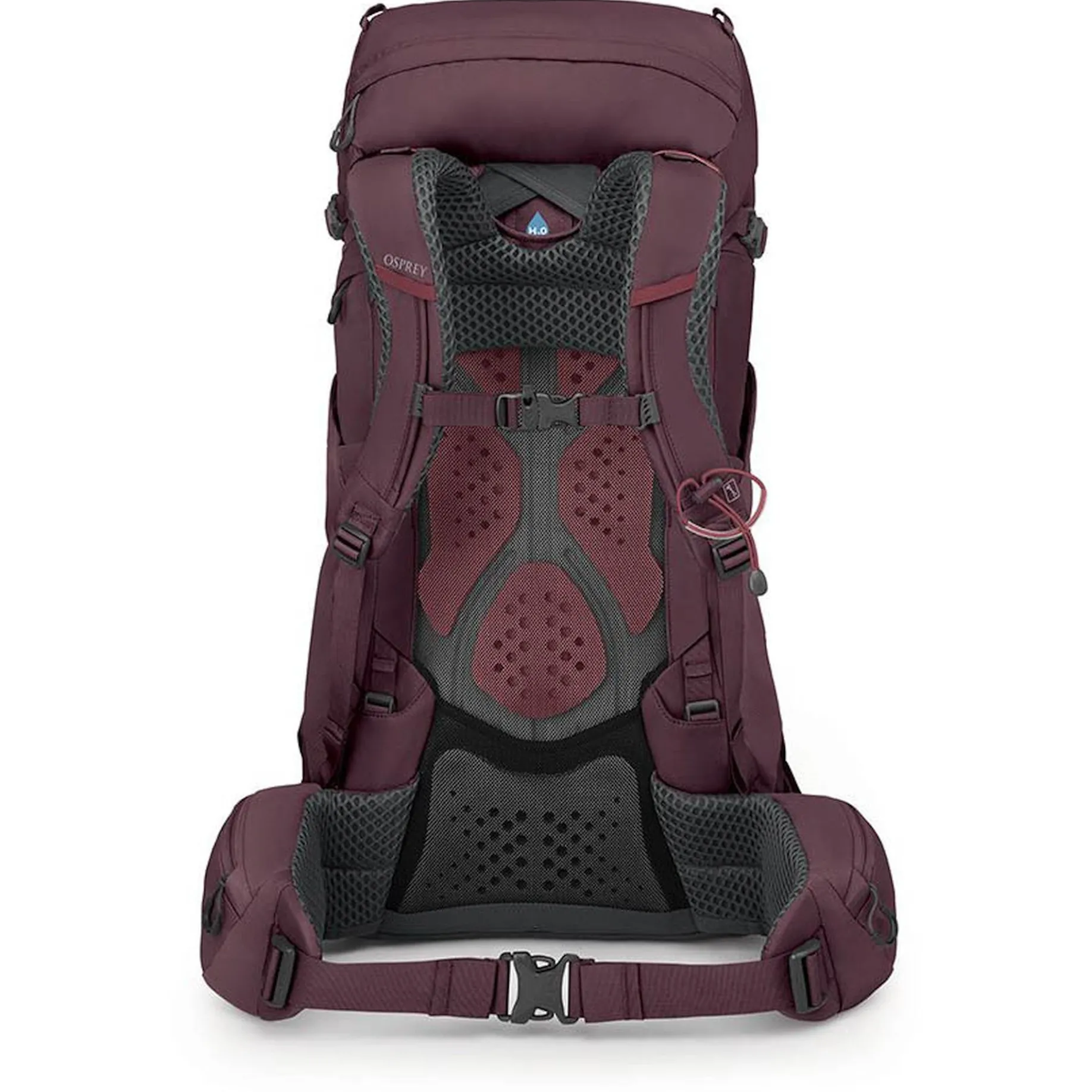 Kyte 38 WXS/S - Trekkingrucksack 66 cm (elderberry purple)