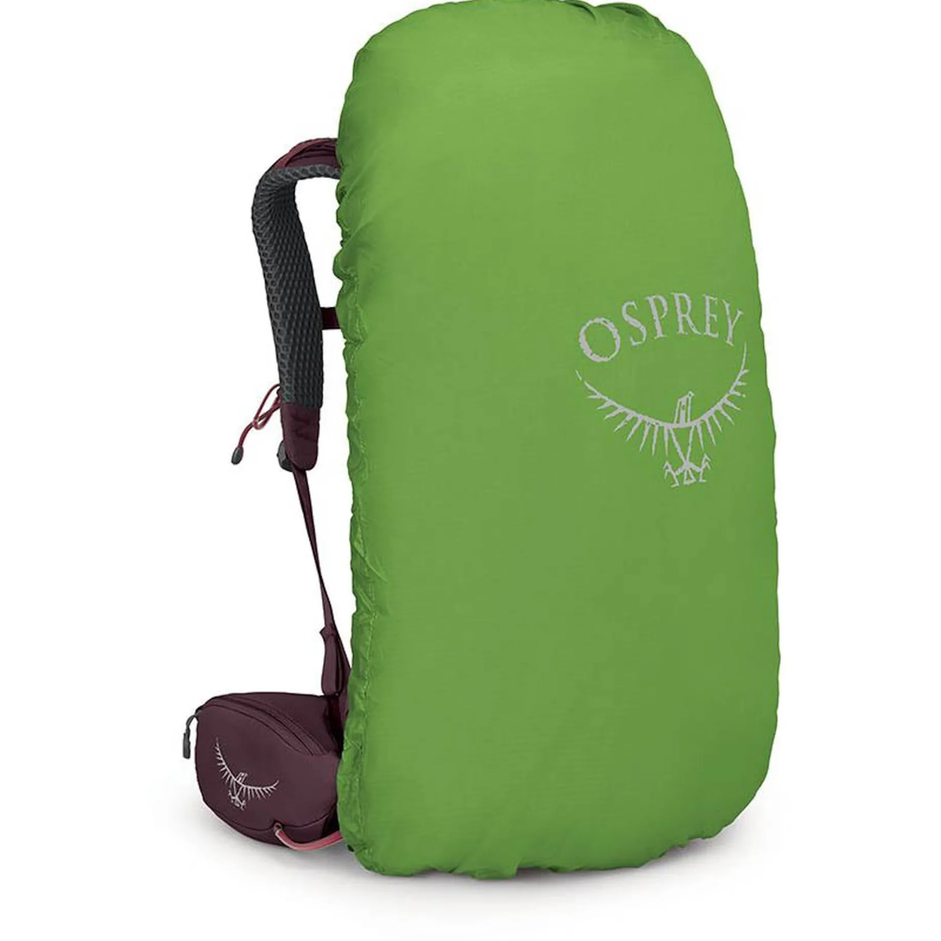 Kyte 38 WXS/S - Trekkingrucksack 66 cm (elderberry purple)