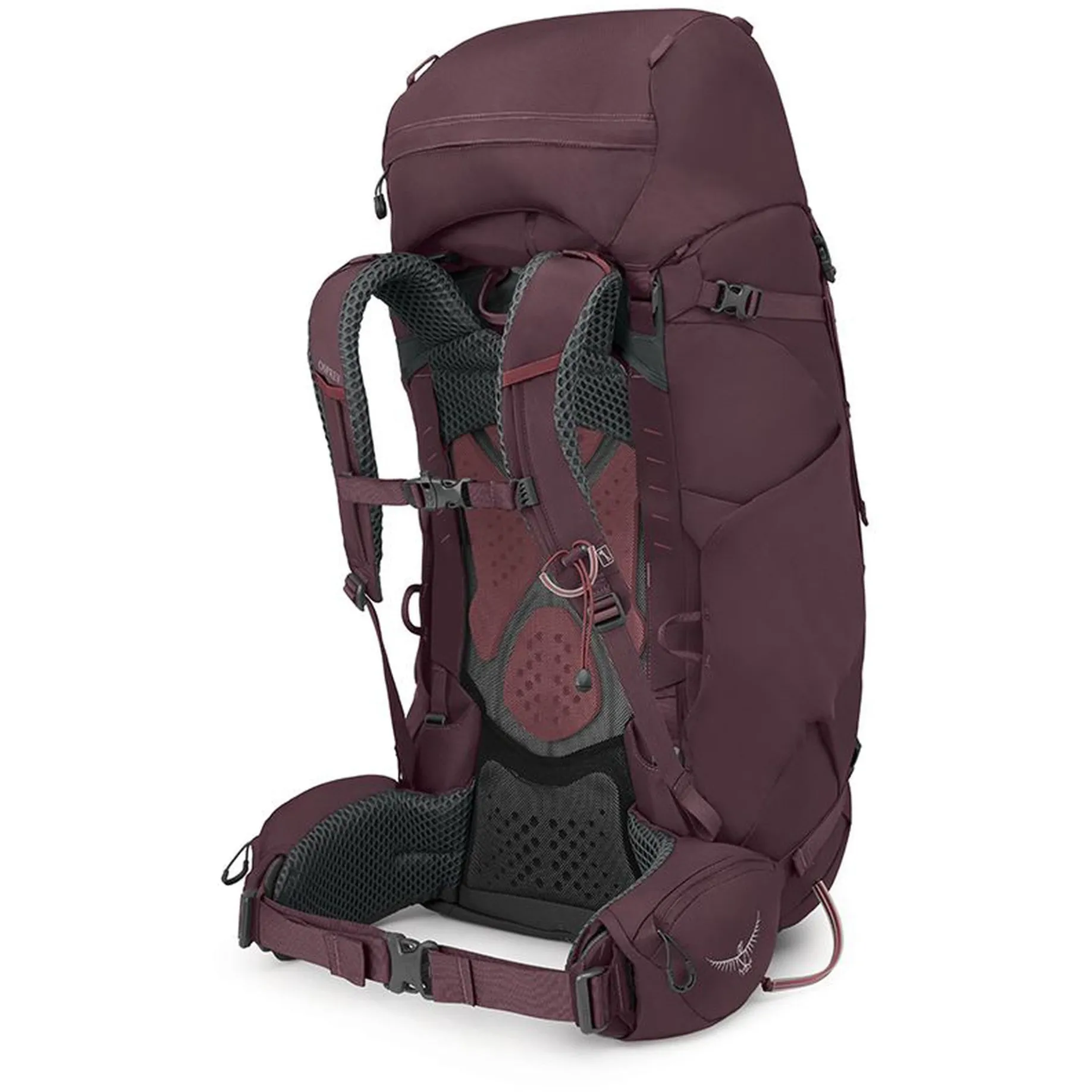 Kyte 68 WXS/S - Trekkingrucksack 70 cm (elderberry purple)