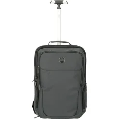 Parvis Plus WPS Business - 2-Rollen - Rucksacktrolley 17.3" 51 cm (grau)