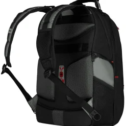 Pegasus Comfortable 17