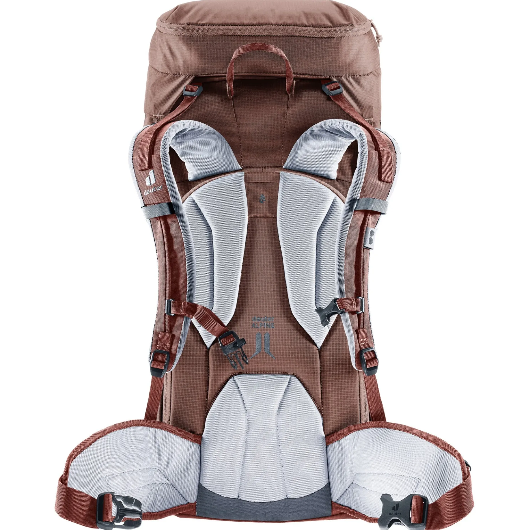 Rise 32+ SL - Women's Schneeschuhtouren Rucksack 70 cm (raisin-caspia)