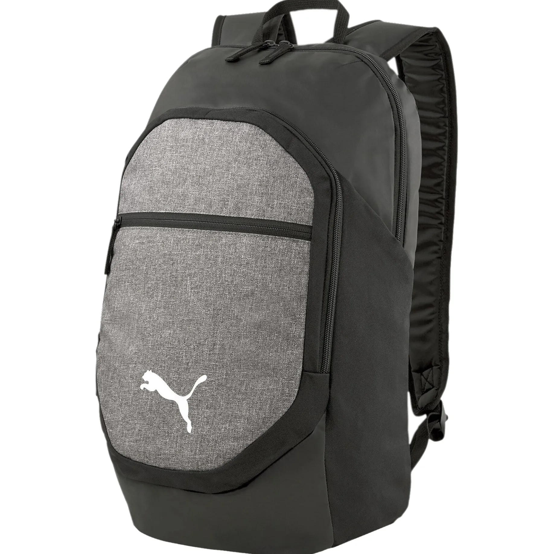 teamFINAL - Rucksack L 50 cm (black)