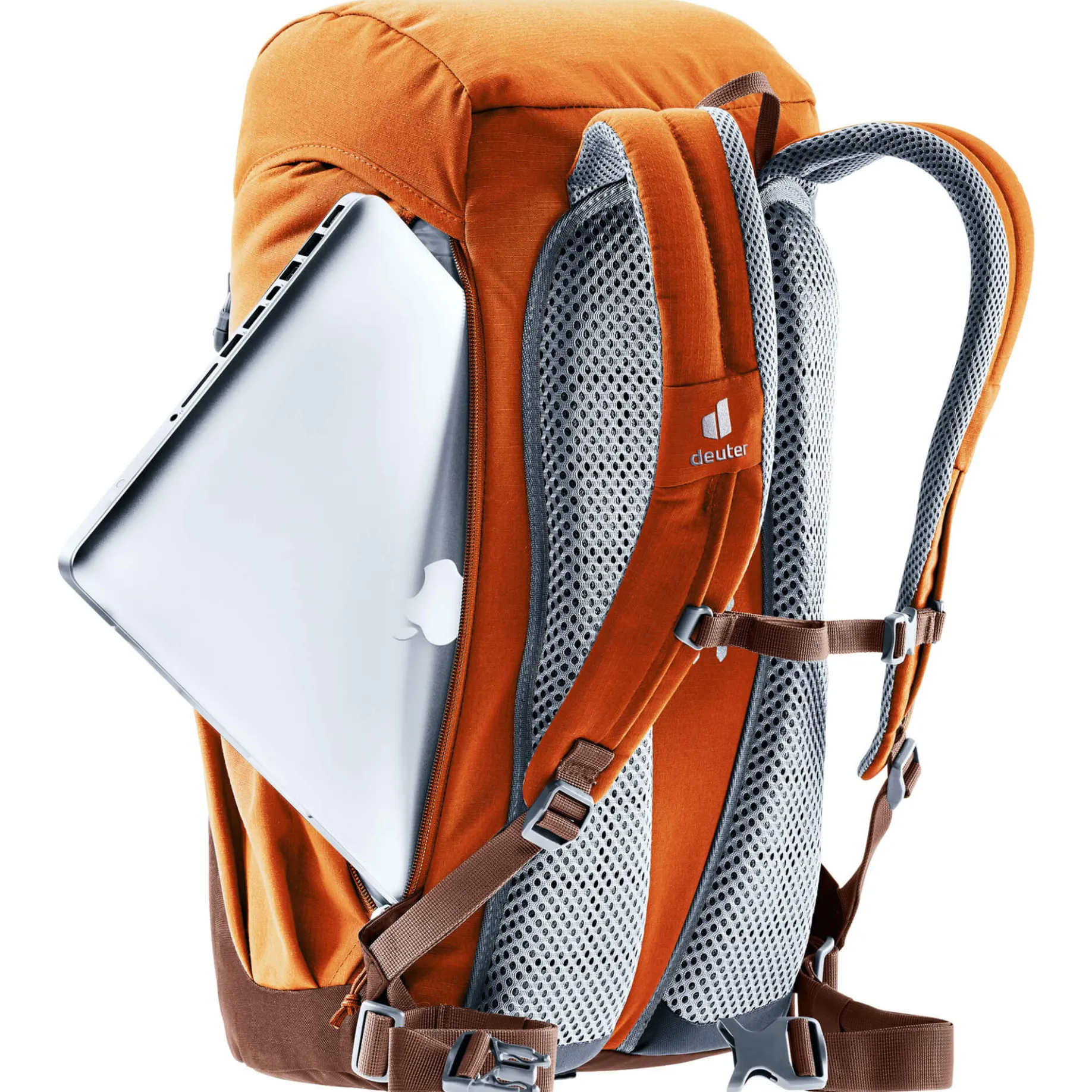 Walker 24 - Rucksack 52 cm (chestnut-umbra)